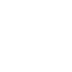 Boostential Footer Logo